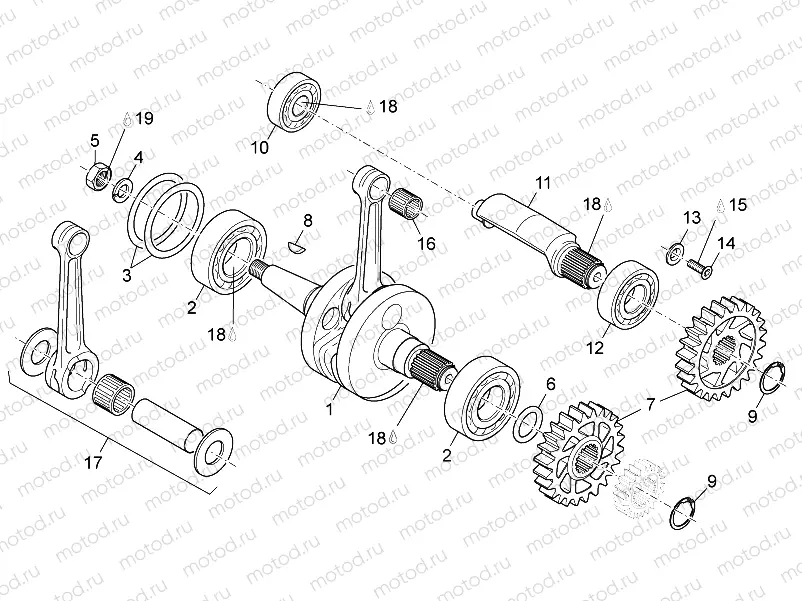 Crankshaft - Balance shaft