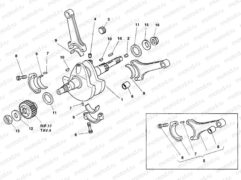 CRANKSHAFT » ENGINE CASE