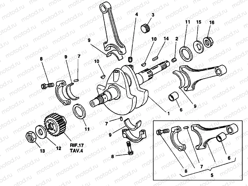 CRANKSHAFT » ENGINE CASE
