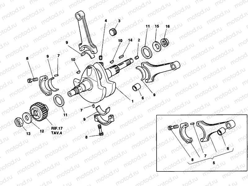 CRANKSHAFT » ENGINE CASE