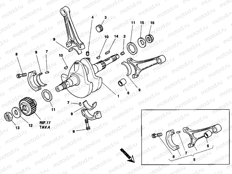CRANKSHAFT » ENGINE CASE