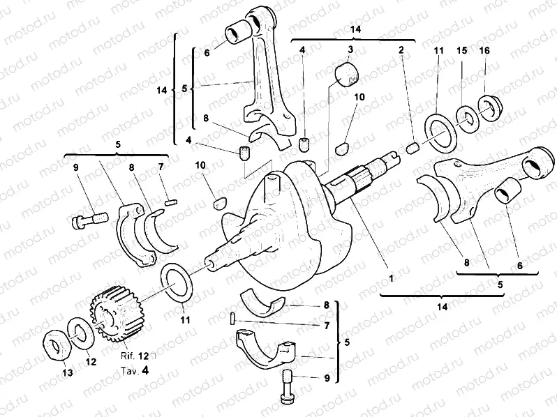 CRANKSHAFT » ENGINE CASE