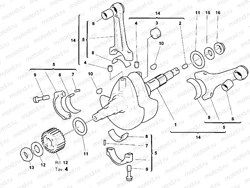 CRANKSHAFT » ENGINE CASE