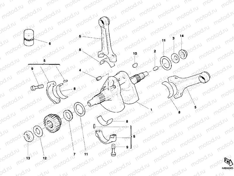CRANKSHAFT » ENGINE CASE