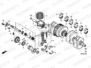 Crankshaft / PISTON