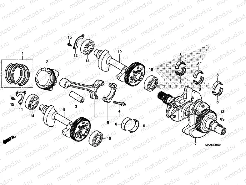 Crankshaft / PISTON