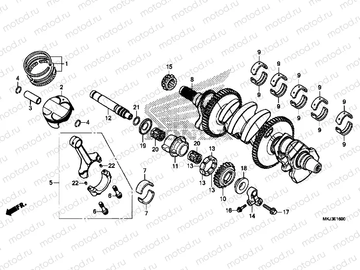 Crankshaft / PISTON