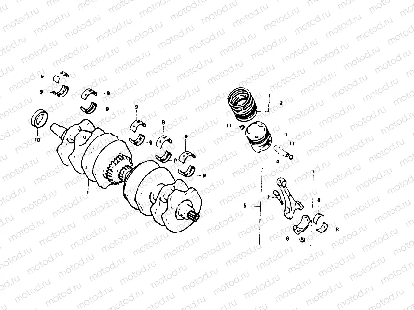 Crankshaft/Piston