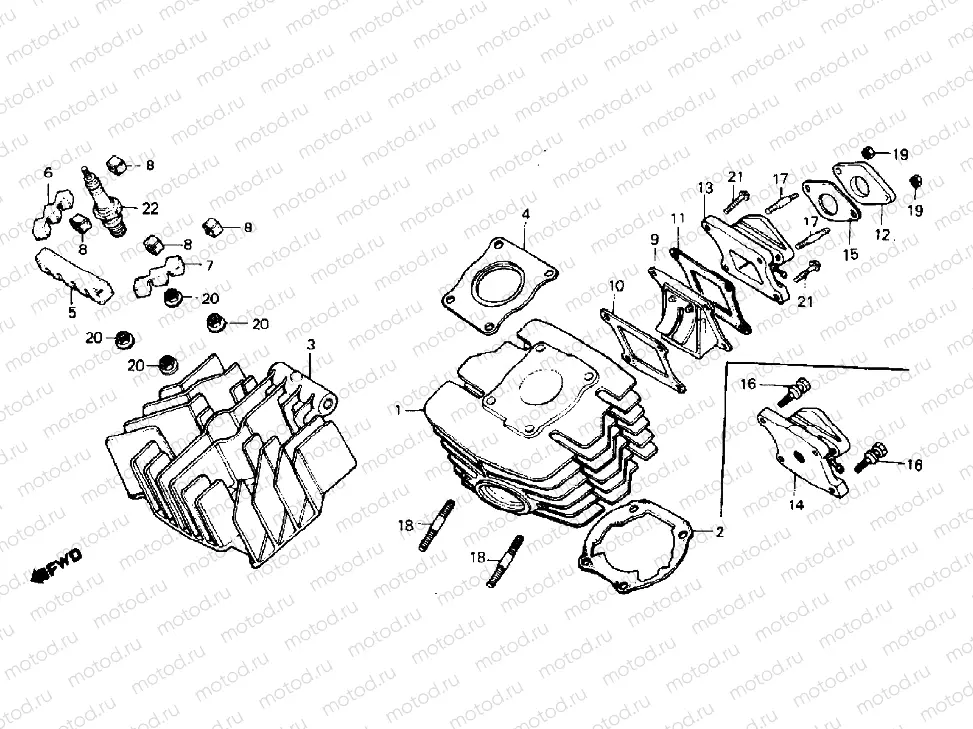 Cylinder & cylinder head