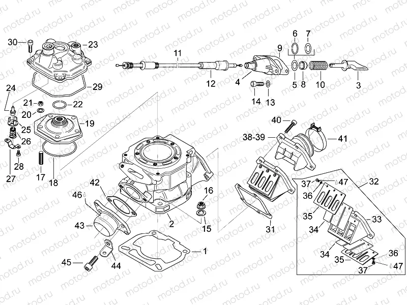 Cylinder - Cylinder head