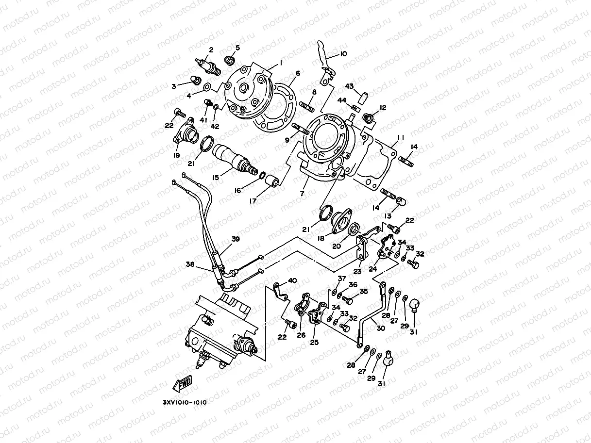 Cylinder Head 1 (R / RS Model)