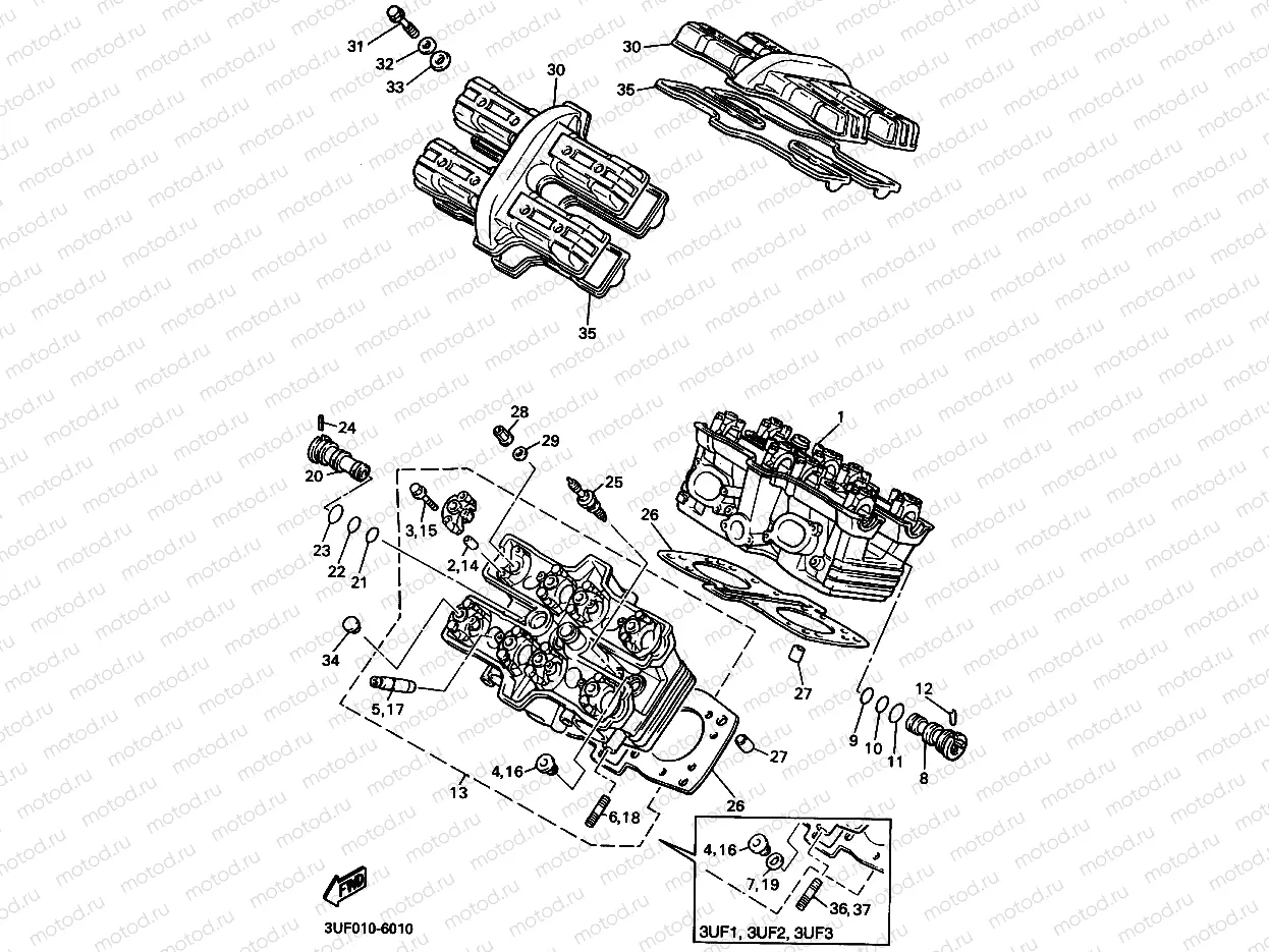 Cylinder head