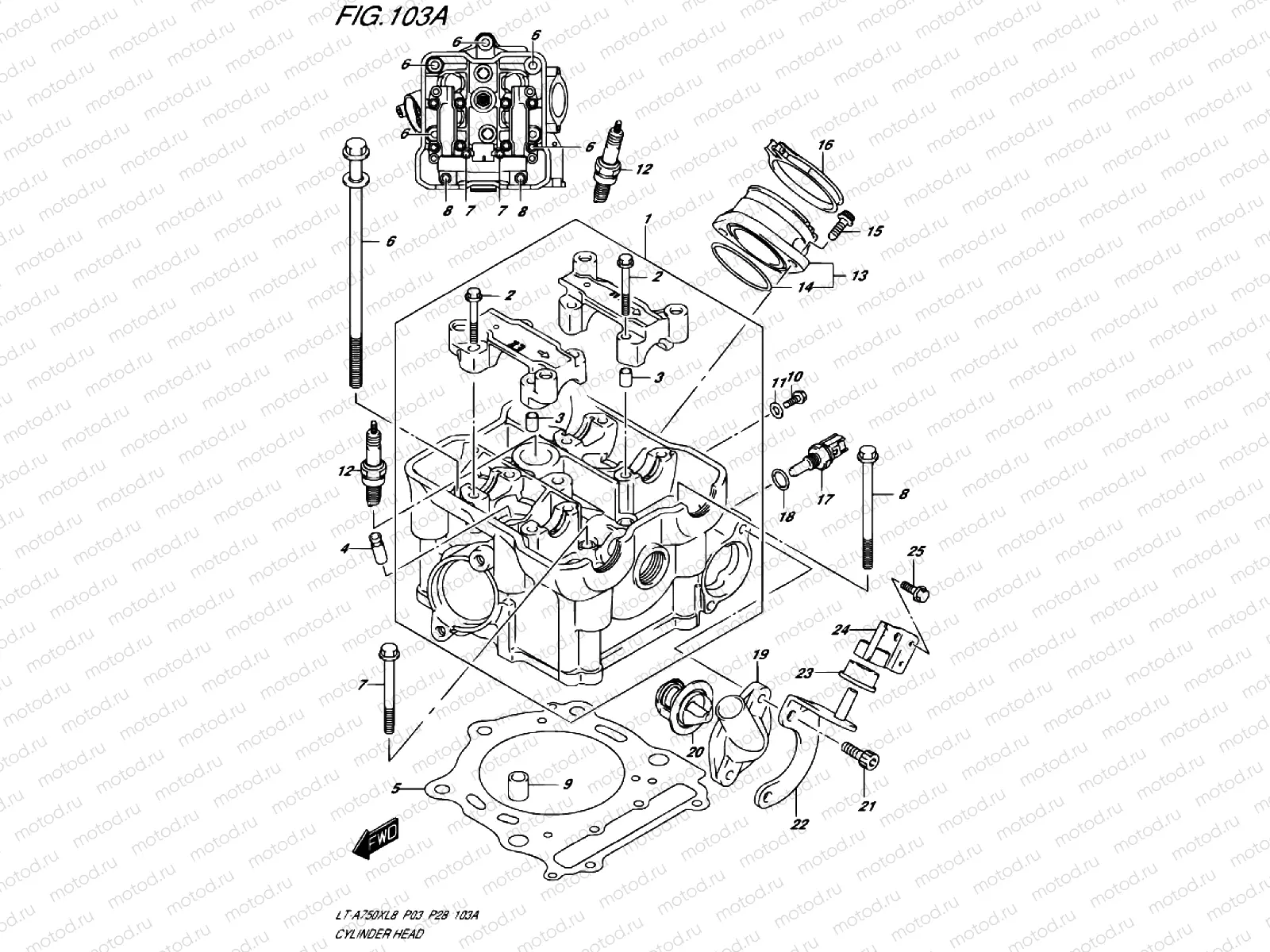 CYLINDER HEAD