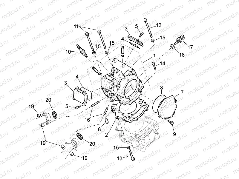 Cylinder head