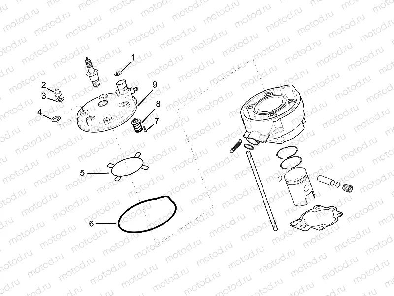 Cylinder head