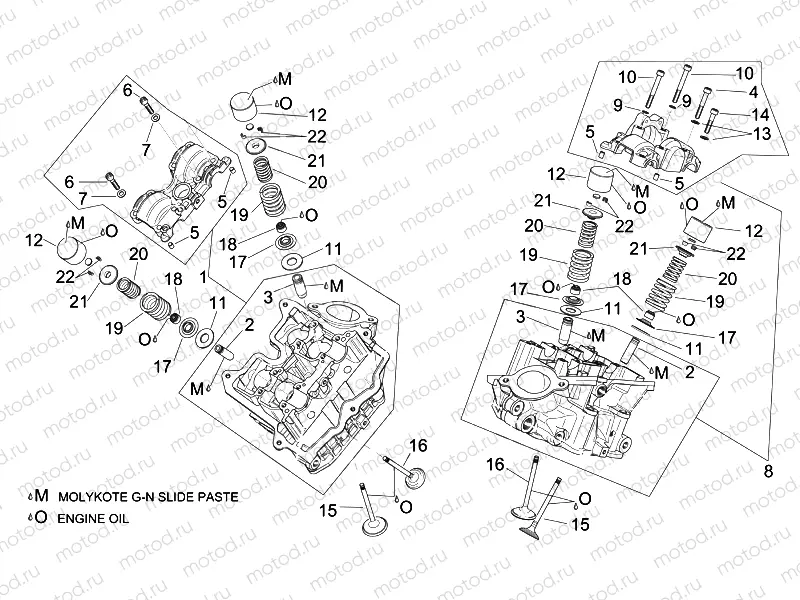 Cylinder head and valves