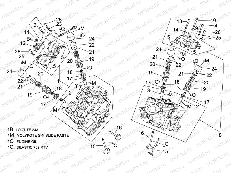 Cylinder head and valves