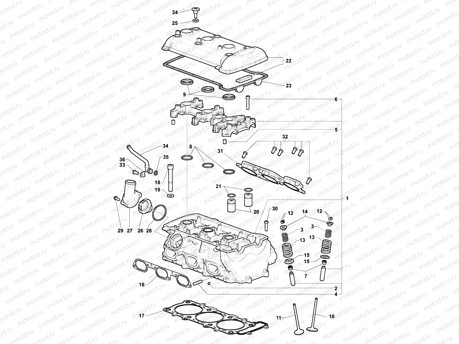 Cylinder Head Assembly