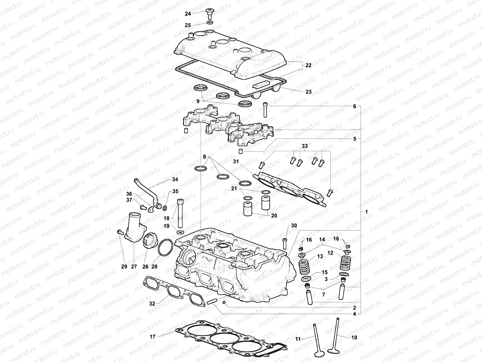 Cylinder Head Assembly
