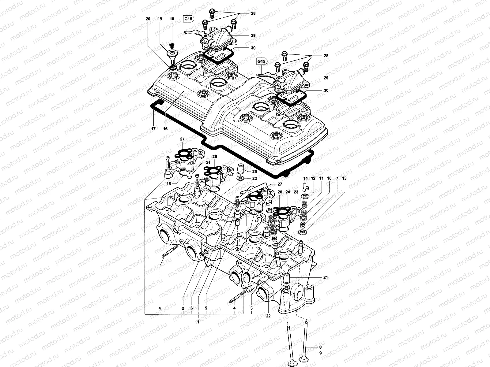 Cylinder Head Assembly