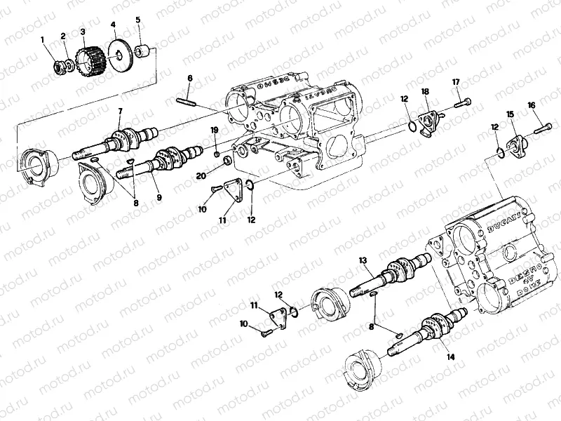 CYLINDER HEAD » ENGINE CASE