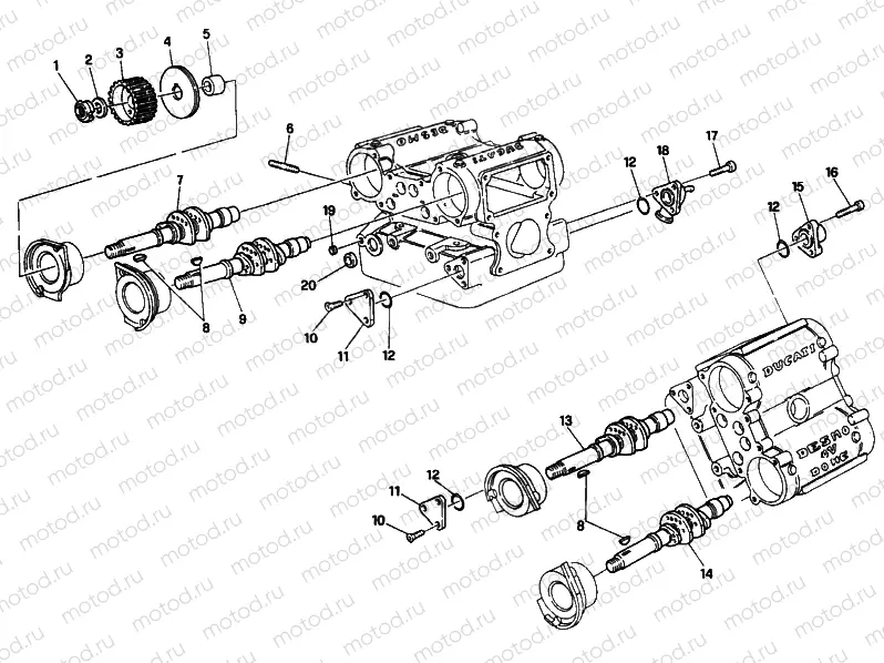 CYLINDER HEAD » ENGINE CASE