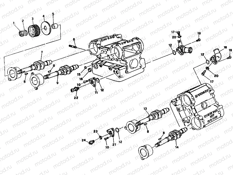 CYLINDER HEAD » ENGINE CASE