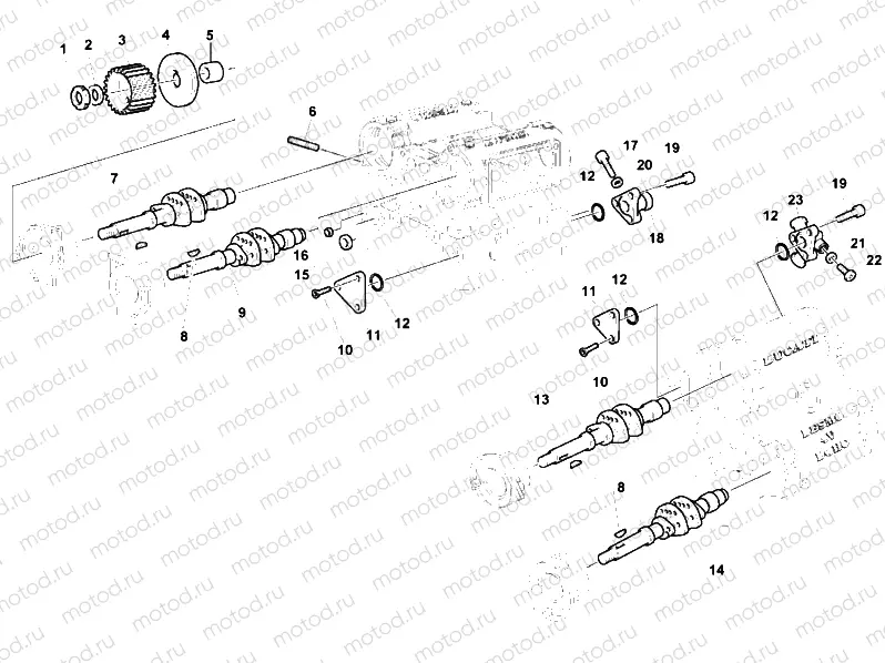 CYLINDER HEAD » ENGINE CASE