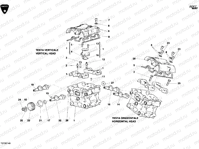 CYLINDER HEAD » ENGINE CASE
