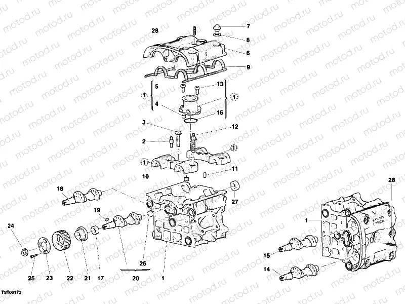 CYLINDER HEAD » ENGINE CASE