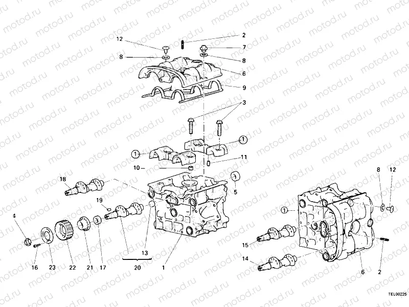 CYLINDER HEAD » ENGINE CASE