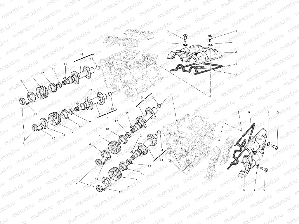 Cylinder head : timing