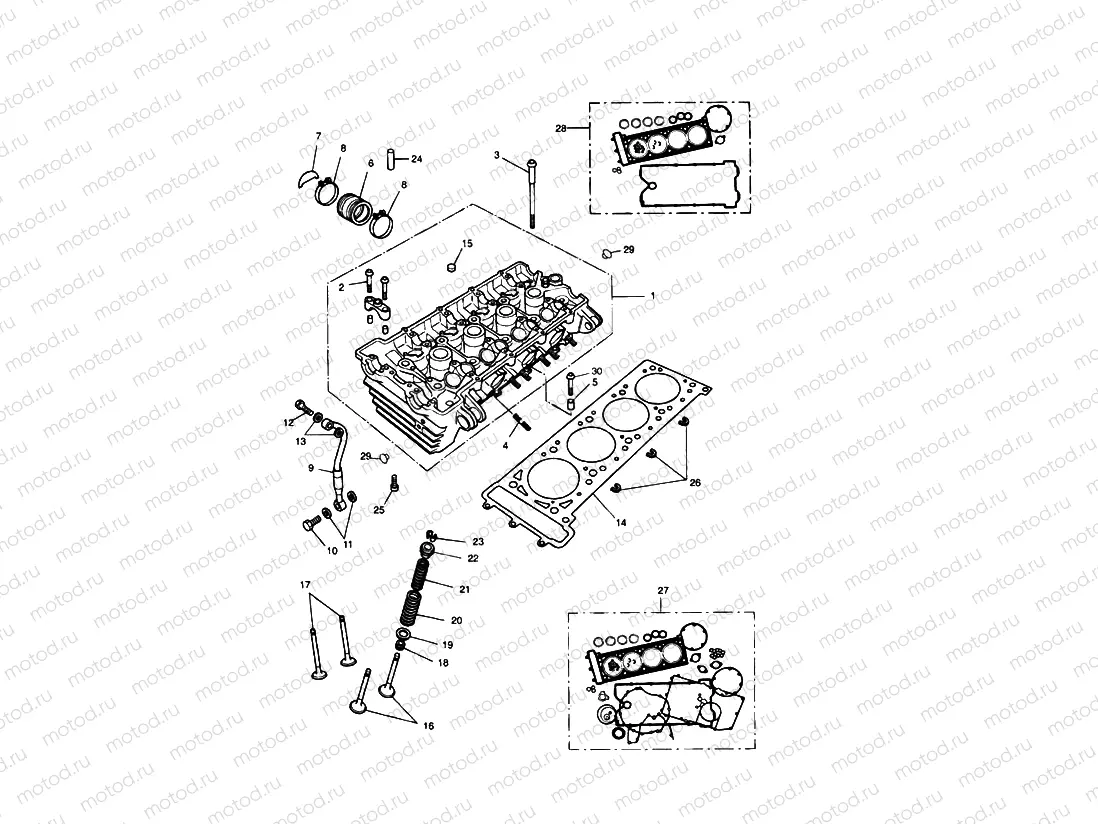 Cylinder Head & Valves