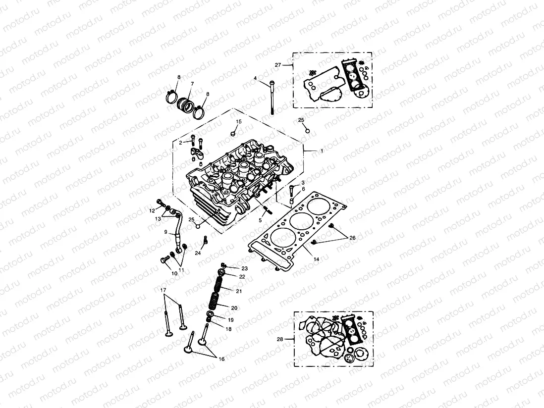 Cylinder Head & Valves