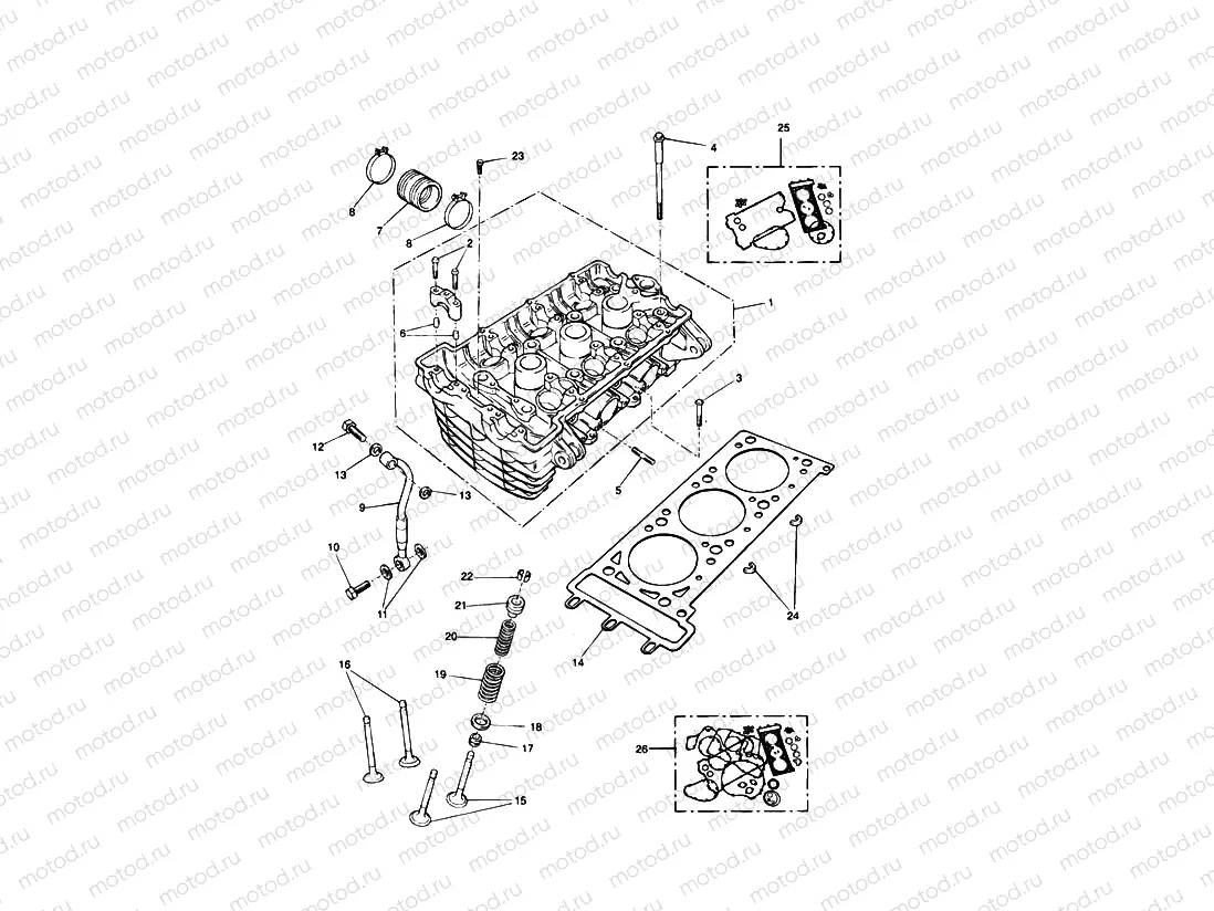 Cylinder Head & Valves