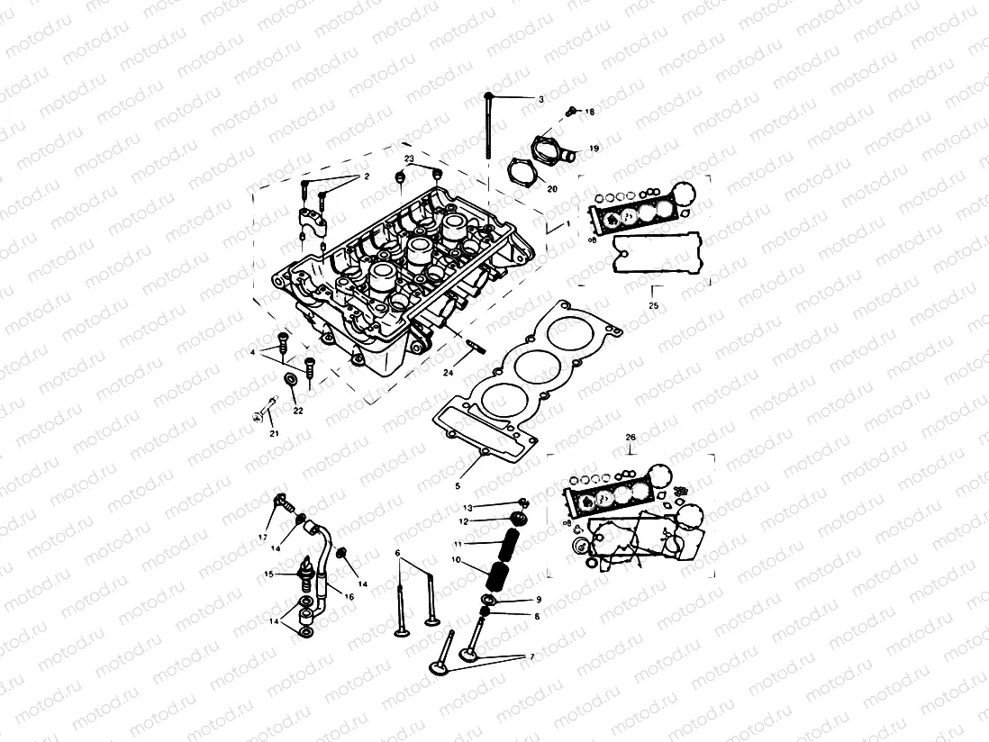 Cylinder Head & Valves