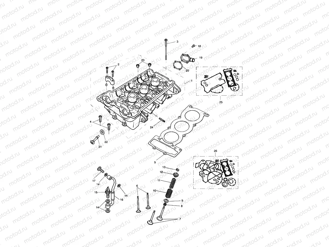 Cylinder Head & Valves