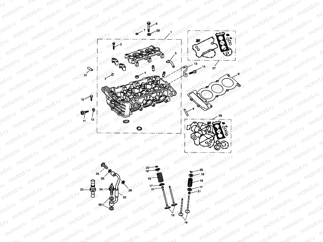 Cylinder Head & Valves