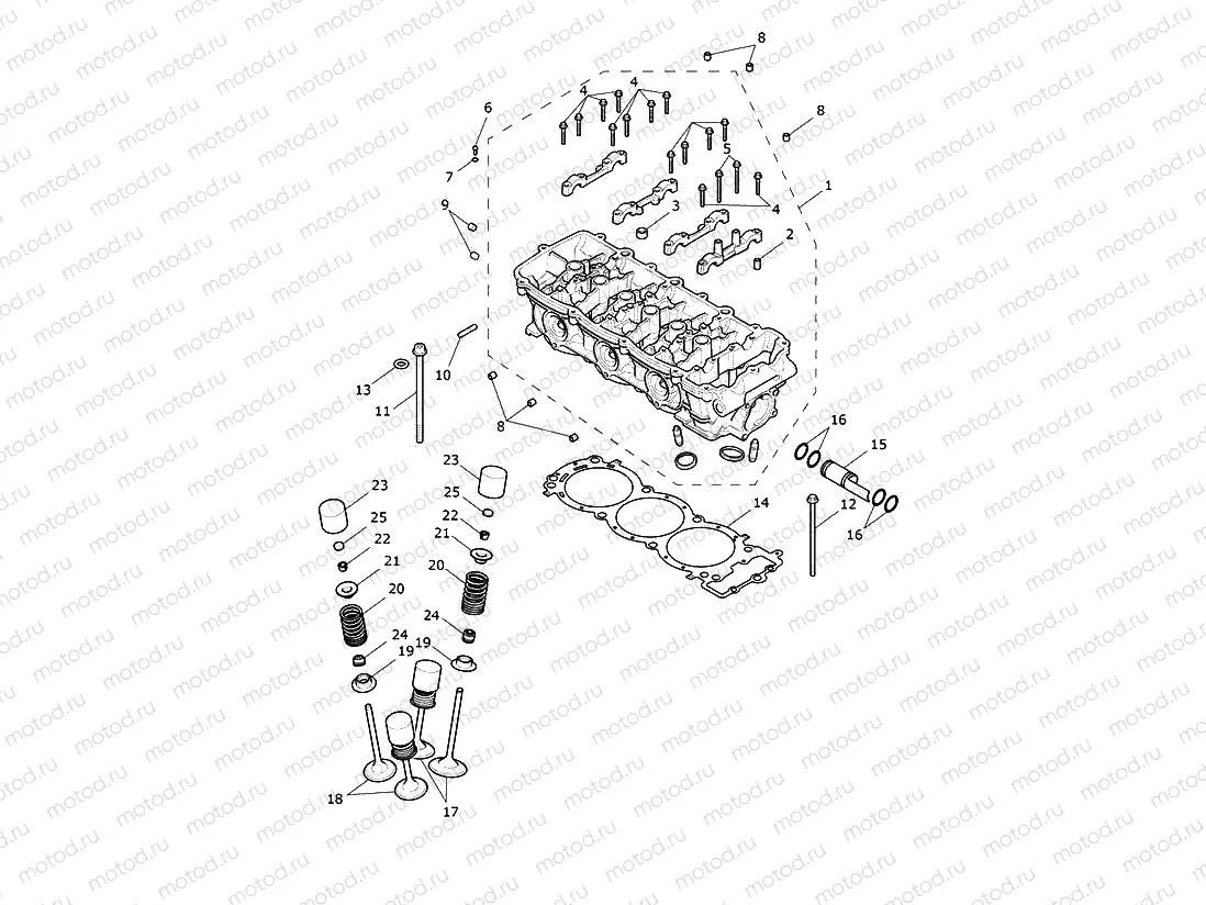 Cylinder Head & Valves