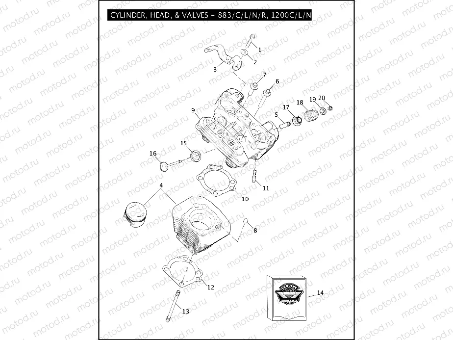 CYLINDER, HEAD, & VALVES - 883/C/L/N/R, 1200C/L/N/R