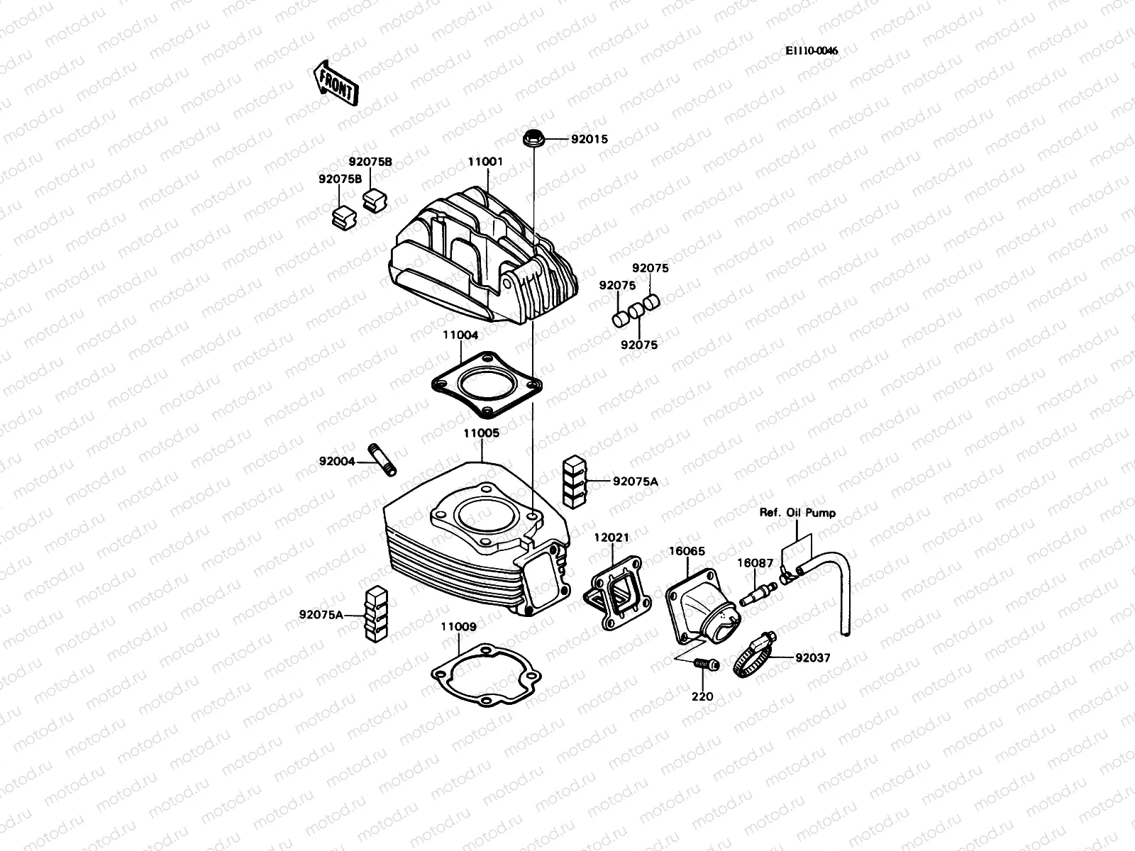 Cylinder Head/Cylinder
