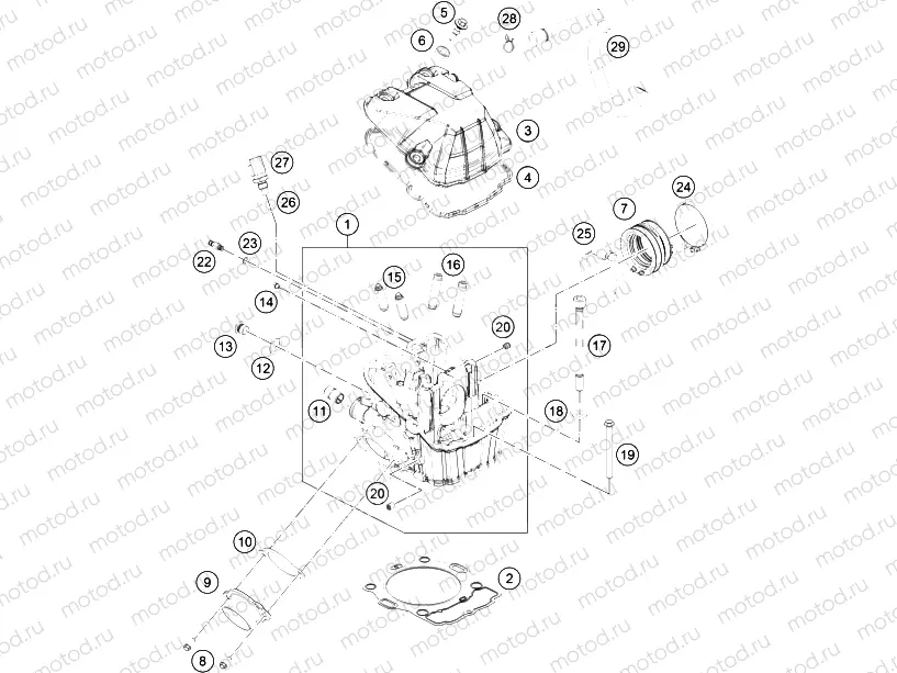 CYLINDER HEAD|Engine|36