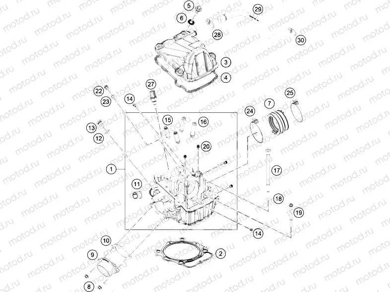 CYLINDER HEAD|Engine|36