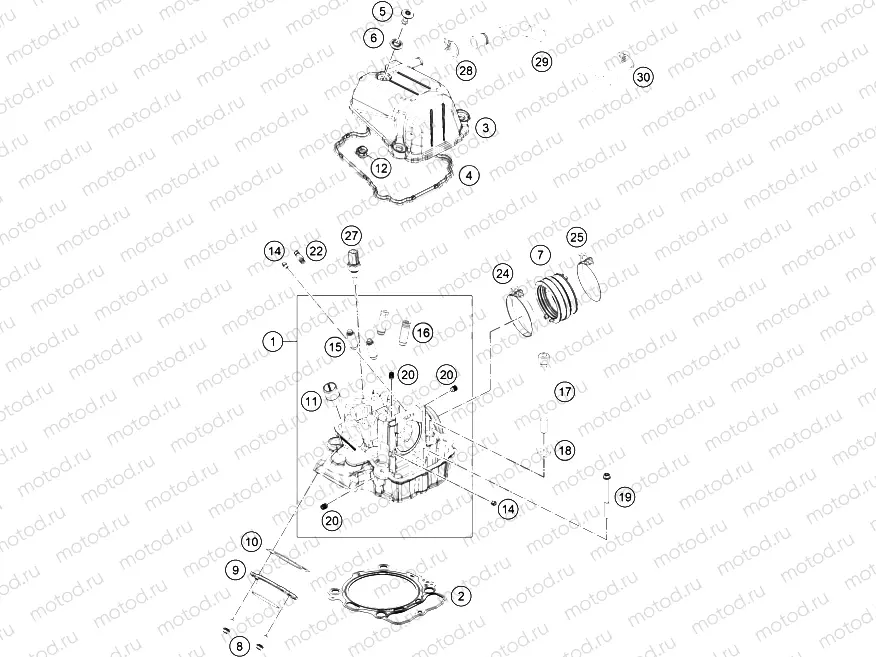 CYLINDER HEAD|Engine|36