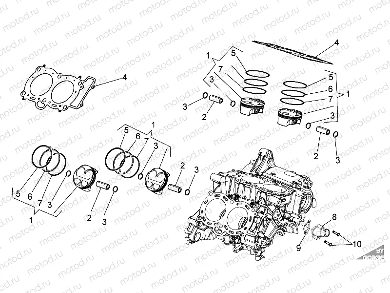 Cylinder - Piston