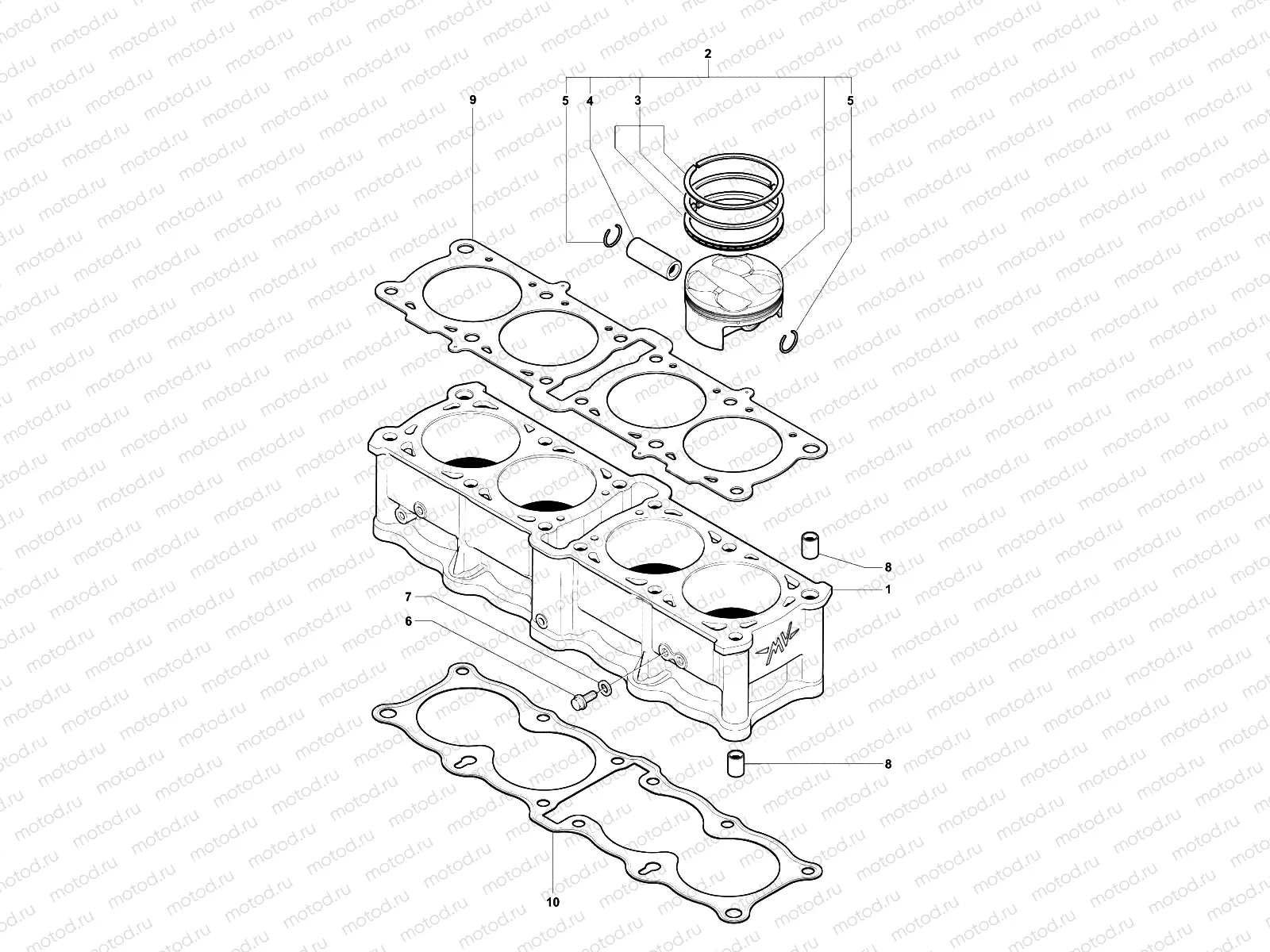 Cylinder & Piston Assembly