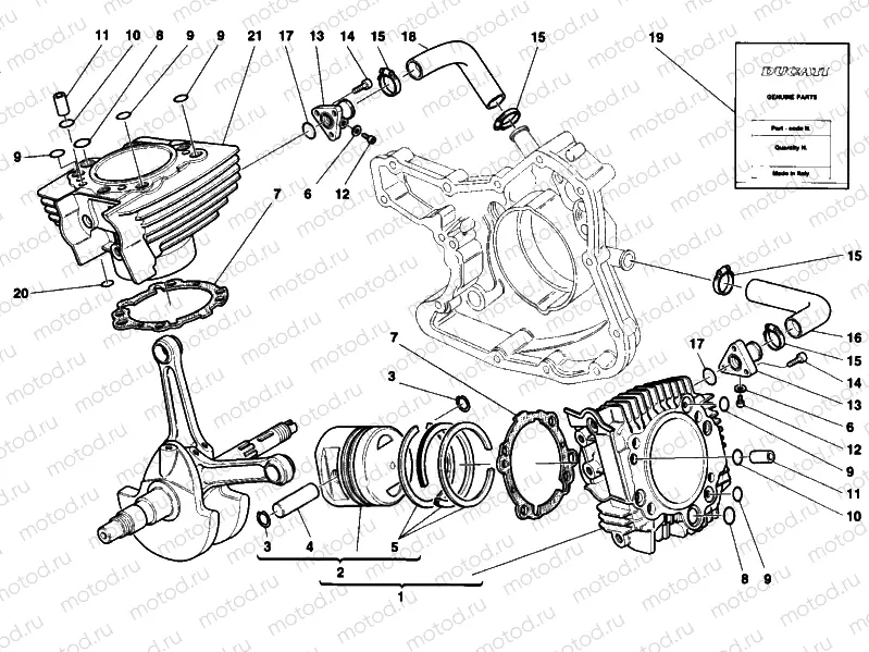 CYLINDER - PISTON » ENGINE CASE
