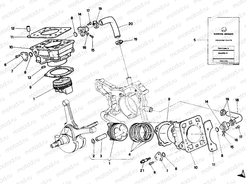CYLINDER - PISTON » ENGINE CASE