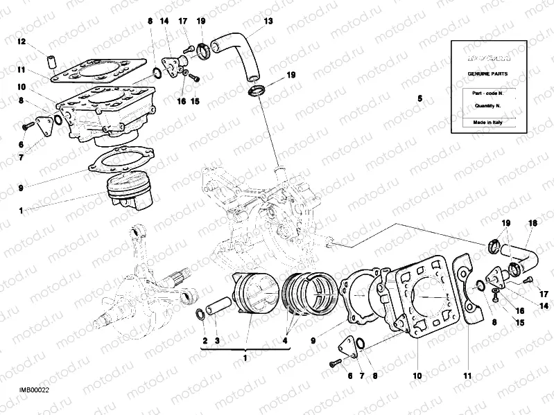 CYLINDER - PISTON » ENGINE CASE