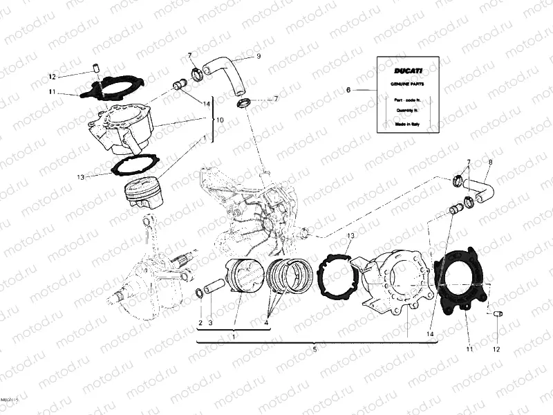 CYLINDER - PISTON » ENGINE CASE